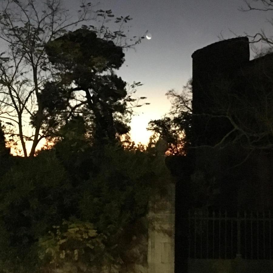 Chambres D'Hotes De L'Union Nizas  Bagian luar foto